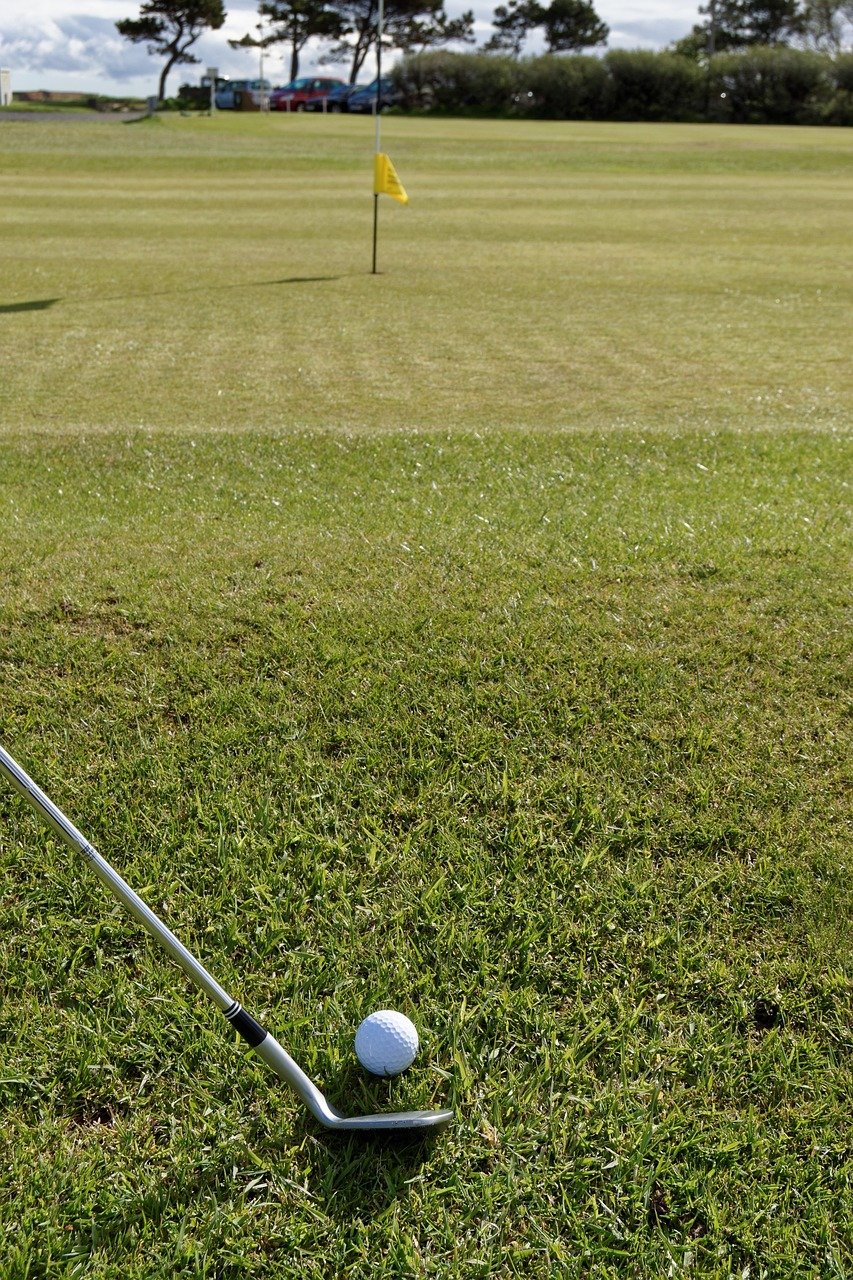 golf, ball, golf ball, golf club, nature, grass, sport, golfing, game, green, tee, course, club, recreation, leisure, fairway, golfer, outdoor, activity, wedge, chip, pitch, flagstick, flag, hobby, player, swing, hit, hole, shot, golf, golf, golf, golf, golf, golf ball, golf club