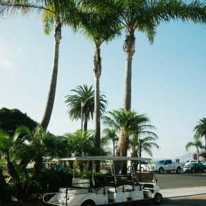 Golf cart parked under palm trees on a sunny day with clear skies.