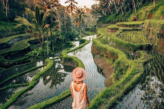 Immerse in Paradise: Exclusive 7D6N Bali Golf & Cultural Journey with World-Class Courses and Ubud Exploration