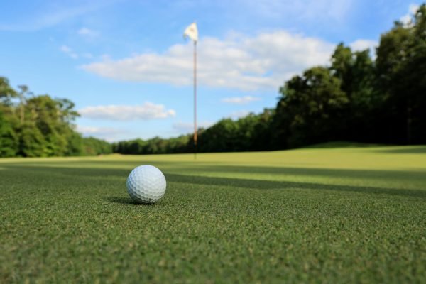 golf2